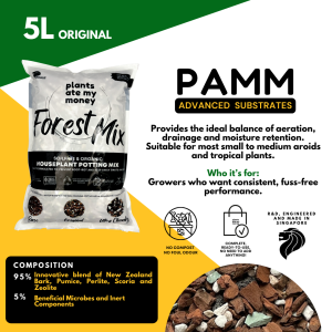 PAMM FOREST MIX – Advanced Substrate Made for Aroids | Chunky Aroid Soil Mix | Engineered Root Structure