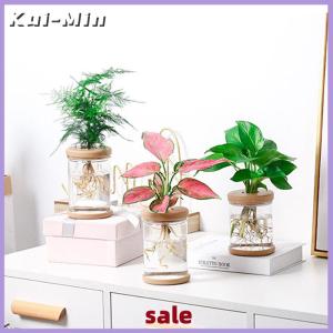 Kui-Min Lazy Transparent Flowerpot Hydroponic Automatic Water Absorption Flowerpot