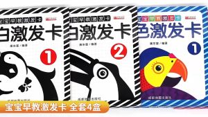 Newborn Flash Card Baby Early Education Card Black White Colour Early Learning
