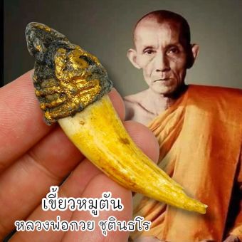 รูปจากผู้ขายบน Lazada: LK-O5เขี้ยวหมูตัน หลวงพ่อกวย วัดบ้านแค สุดยอดแห่งเครื่องรางพกพาติดตัวป้องกันอันตรายป้องกันภูตผีปีศาจสิ่งไม่ดี ตั้งราคา ฿89 ขายแล้ว 358 ชิ้น