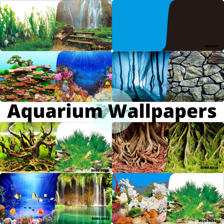 Realistic Colorful Aquarium Background Wallpaper 12 Inches PER