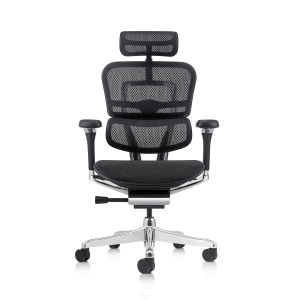 Ergohuman Luxury 2 Ergonomic Full Mesh Ergonomic Chair / Office Chair / Gaming Chair