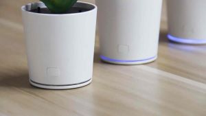 Interchangeable Plant Air Purifier