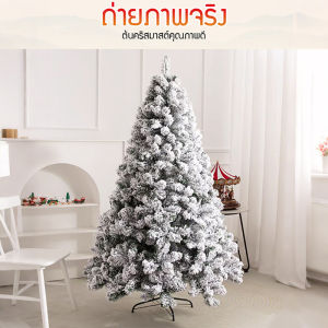 ต้นคริสต์มาส ขนาด 90/120/150/180/210/240 cm ต้นคริสต์มาสประดับตกแต่ง christmas decoration ต้นไม้ตกแต่งบ้าน christmas tree