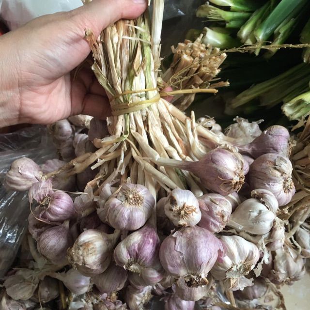 tỏi tía ta 500gr Tỏi Tía Chất Lượng Cao Tỏi Tía 500Gr Thương Mại Điện Tử -  Lazada | Lazada.vn