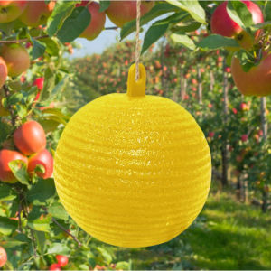 Fly Trapping Ball Greenhouse Melon and Fruit Orchard Needle Tip Sticky Insect Ball Fruit Protection Garden Supplies