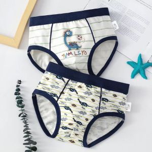 Quần lót bé trai combo 2 quần sịp trẻ em nam đồ lót trẻ em từ 9-47kg