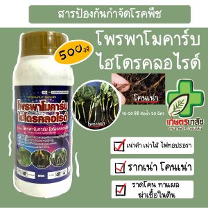 โพรพาโมคาร์บ ไฮโดรคลอไรด์ 500cc ป้องกันกำจัดโรคเน่าดำหรือเน่าเข้าไส้ในกล้วยไม้ โรคใบไหม้ในมันฝรั่ง มะเขือเทศ โรคผลเน่าในเงาะ ทุเรียน โรคยอดเน่า ต้นเน่าในสับปะรด โรครากเน่าโคนเน่าในทุเรียน ส้ม ส้มโอ มะละกอ พริก ผัก
