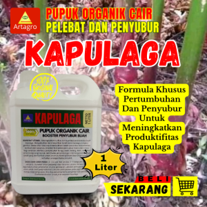 Pupuk Buah Super Lebat Kapulaga Isi 1 Liter Pupuk Booster Pelebat Kapulaga Pupuk Cair Untuk Kapulaga