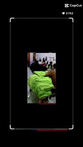 Pabrik Kaos Polos Premium Murah Distro Tangan Pendek Bahan Adem Lembut Nyaman di Pakai dan Berkualitas Tinggi Baju Atasan Bermacam Warna & Ukuran