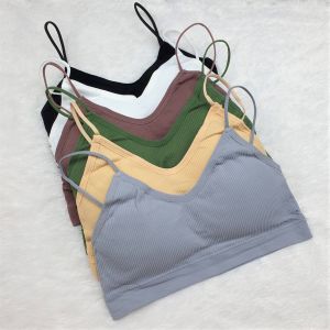 Bh Seamless Sport Bra/Miniset Dewasa Busa Import 832 Bahan Kapas Lembut Miniset Allsize M/L Nyaman Untuk Yoga Dan Olahraga Ready Stok Dan Tidak Bisa Di Return - Lazada