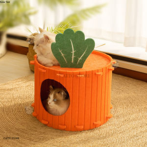 บ้านแมวแครอท น่ารัก ที่นอนแมว คอนโดแมว ที่นอนสัตว์เลี้ยง ที่ฝนเล็บแมว HY