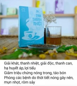 Combo 2 Hộp Trà Thái Hưng Túi Lọc: Thìa Canh/Cà Gai Leo/Đinh Lăng/Giảo Cổ Lam/An Gút Hưng/An Dạ Hưng/An Phế Hưng/An Thận Hưng/Tía Tô/Thanh Nhiệt/Gừng/Xuyên Tâm Liên