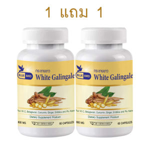 1แถม1 กระชายขาว White Galingale ตรา บลูเบิร์ด ขนาด 600 มิลลิกรัม 60 แคปซูล