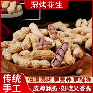 Instant Crispy Peanuts Shelled 218g 龙岩湿烤花生坚果
