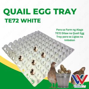 White Quail Egg Tray with 24 Slots for Efficient Animal Egg Storage Quail Egg Tray for Animals