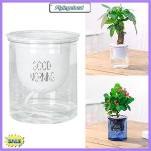 Follow Get New[FlyingC] Transparent Flower Pot Self-Watering Plant Flower Pot Home Garden Decoration