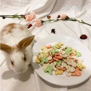 Pet molar bunny biscuit snack💖 rabbit hamster chinchilla guinea pig cat dog treat chew toy food (30g)