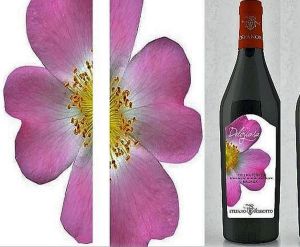 Stefano Rossotto La Delioziosa Italian Semi-Sweet Red Wine Half Case (6x750ml)  - Collina Torinese Malvasia 750ml