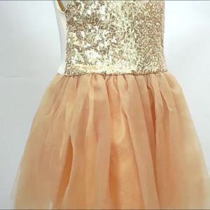 Girls Cute Lion Tulle Dress Kids Cartoon Beauty Clothing Halloween Party Outfit Children Stage Performance Show Clothing2026
