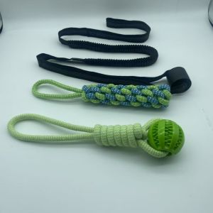 Gấu bay tận hưởng thời gian chơi an toàn và giải trí với Đồ chơi dây cho chó bền