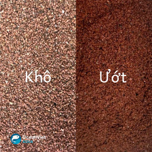 Cát garnet trải nền bể cá – Cát nền tự nhiên cao cấp – Màu đỏ và nâu – Kích thước 0.5–1mm