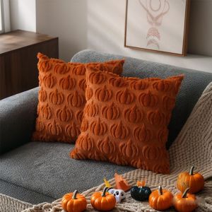 ปลอกหมอน สีวันหยุด โซฟา ผี ฟักทอง สีดํา ที่บ้าน สีส้ม ห้องนั่งเล่น