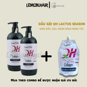 Dầu gội đầu ngăn rụng tóc QH Lactus season dầu gội da dầu ngăn gàu - Galistore