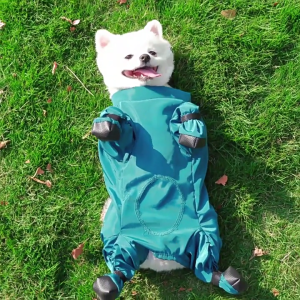 Con chó legging treo booties giày cho nhỏ để chó lớn và con chó con Puppy giày đi mưa áo mưa