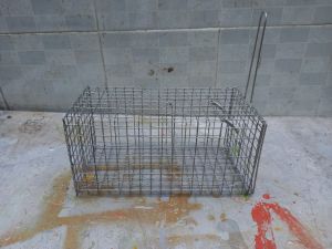 Lồng Bẫy Chuột-Bẫy sóc-Bắt Chuột Loại To (d26cm x r14cm x c13cm)