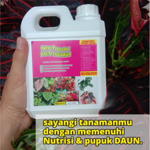 PENYUBUR TANAMAN HIAS | Pupuk Daun | Nutrisi Daun | Pupuk Tanaman 1 liter