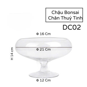 Chậu Thuỷ Tinh Nuôi Cá Trồng Cây Để Bàn Bonsai Chân DC02 - Bể Cá Thuỷ Tinh Đế Chân D16 Cm