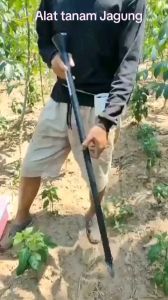 ALAT TANAM JAGUNG DAN BIJI BIJIAN LAINNYA Simple Jagung Kacang Tanah Kedelai Benih Biji-Bijian