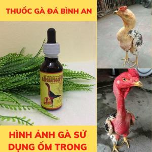 VITAMIN ỐM TRONG phục hồi gà ốm trong nhợt nhạtnuôi kích lực đủ pin trước trận đấu 1 LỌ 60ML. nuôi gà lên nước máu nhanh 