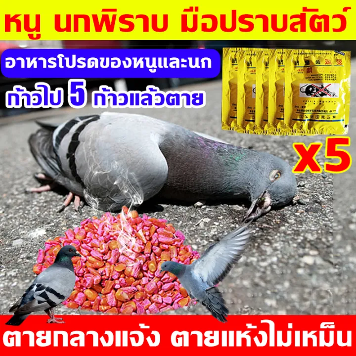 %E0%B8%A1%E0%B8%B2%E0%B9%81%E0%B8%A3%E0%B8%87%20%E0%B8%81%E0%B8%B3%E0%B8%88%E0%B8%B1%E0%B8%94%E0%B8%99%E0%B8%81%20%E0%B8%A2%E0%B8%B2%E0%B9%80%E0%B8%9A%E0%B8%B7%E0%B9%88%E0%B8%AD%E0%B8%99%E0%B8%81%E0%B8%9E%E0%B8%B4%E0%B8%A3%E0%B8%B2%E0%B8%9A%E0%B8%81%E0%B8%B3%E0%B8%88%E0%B8%B1%E0%B8%94%E0%B8%9E%E0%B8%B4%E0%B8%A3%E0%B8%B2%E0%B8%9A%E0%B9%81%E0%B8%A5%E0%B8%B0%E0%B8%99%E0%B8%81%E0%B8%97%E0%B8%B8%E0%B8%81%E0%B8%8A%E0%B8%99%E0%B8%B4%E0%B8%94%F0%9F%94%A5%E0%B9%80%E0%B8%AB%E0%B8%A2%E0%B8%B7%E0%B9%88%E0%B8%AD%E0%B8%81%E0%B8%B3%E0%B8%88%E0%B8%B1%E0%B8%94%E0%B8%99%E0%B8%81%E0%B8%9E%E0%B8%B4%E0%B8%A3%E0%B8%B2%E0%B8%9A%205%E0%B8%8B%E0%B8%AD%E0%B8%87%20%E0%B8%A2%E0%B8%B2%E0%B8%86%E0%B9%88%E0%B8%B2%E0%B8%99%E0%B8%81%E0%B8%9E%E0%B8%B4%E0%B8%A3%E0%B8%B2%E0%B8%9A%20%E0%B8%97%E0%B8%B3%E0%B8%A5%E0%B8%B2%E0%B8%A2%E0%B8%AD%E0%B8%A7%E0%B8%B1%E0%B8%A2%E0%B8%A7%E0%B8%B0%E0%B8%A0%E0%B8%B2%E0%B8%A2%E0%B9%83%E0%B8%99%E0%B8%95%E0%B8%B2%E0%B8%A2%E0%B9%83%E0%B8%99%201%E0%B8%8A%E0%B8%A1.%20%E0%B8%A2%E0%B8%B2%E0%B9%80%E0%B8%9A%E0%B8%B7%E0%B9%88%E0%B8%AD%E0%B8%99%E0%B8%81%20%E0%B8%9E%E0%B8%B4%E0%B8%A3%E0%B8%B2%E0%B8%9A%20%E0%B9%81%E0%B8%AB%E0%B9%89%E0%B8%87%E0%B9%80%E0%B8%A3%E0%B9%87%E0%B8%A7%E0%B9%81%E0%B8%A5%E0%B8%B0%E0%B9%84%E0%B8%A1%E0%B9%88%E0%B8%A1%E0%B8%B5%E0%B8%81%E0%B8%A5%E0%B8%B4%E0%B9%88%E0%B8%99%20%E0%B8%81%E0%B8%B4%E0%B8%99%E0%B8%87%E0%B9%88%E0%B8%B2%E0%B8%A2%E0%B8%95%E0%B8%B2%E0%B8%A2%E0%B9%84%E0%B8%A7%20%E0%B8%8A%E0%B8%99%E0%B8%B4%E0%B8%94%E0%B9%84%E0%B8%A1%E0%B9%88%E0%B8%95%E0%B9%89%E0%B8%AD%E0%B8%87%E0%B8%9C%E0%B8%AA%E0%B8%A1%E0%B8%AD%E0%B8%B2%E0%B8%AB%E0%B8%B2%E0%B8%A3%20%E0%B8%A2%E0%B8%B2%E0%B9%80%E0%B8%9A%E0%B8%B7%E0%B9%88%E0%B8%AD%E0%B8%99%E0%B8%81%20%E0%B9%80%E0%B8%AB%E0%B9%87%E0%B8%99%E0%B8%9C%E0%B8%A5%E0%B8%8A%E0%B8%B1%E0%B8%A7%E0%B8%A3%E0%B9%8C%20100%25%20%E0%B9%84%E0%B8%A5%E0%B9%88%E0%B8%99%E0%B8%81%E0%B8%9E%E0%B8%B4%E0%B8%A3%E0%B8%B2%E0%B8%9A%E0%B8%96%E0%B8%B2%E0%B8%A7%E0%B8%A3%20%E0%B8%A2%E0%B8%B2%E0%B9%84%E0%B8%A5%E0%B9%88%E0%B8%99%E0%B8%81%E0%B8%9E%E0%B8%B4%E0%B8%A3%E0%B8%B2%E0%B8%9A%20%E0%B9%84%E0%B8%A1%E0%B9%88%E0%B8%A1%E0%B8%B5%E0%B8%99%E0%B8%81%E0%B8%A3%E0%B8%9A%E0%B8%81%E0%B8%A7%E0%B8%99%20-%20Image%202