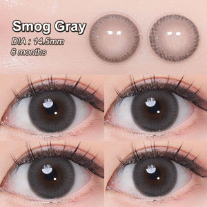 Magister contact lens with power 14.2/14.5mm color contact lenses New style 2024 NILS coloured contact lenses natural lens  brown with case Monthly