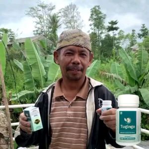 Paket Hemat 3 Pcs Obat Herbal Batu Ginjal Tugingo Original BPOM Halal Cina Paling Yang Ampuh