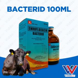 Bacterid 100ml for Healthy Livestock for Animals bacterid enrofloxacin bacterid injectibles bacterid injectable pig