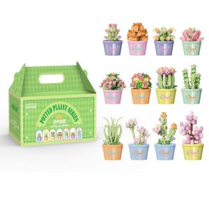 LUMIQLO Đồ chơi giáo dục Khối xây dựng chậu hoa Tự làm Cô Gái gạch đồ chơi trẻ em Mô hình chậu cây mọng nước  Trang trí cây để bàn trong nhà Bộ khối xây dựng mọng nước