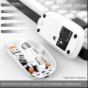 Mouse Magnetic Transparant M233 Tripel Way Connection Bluetooth & wireless dongle