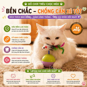 đồ chơi lật đật chuột dành cho mèo chơi hăng say - T3 PETS SHOP