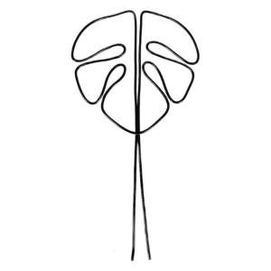 Indoor Trellis Stainless Steel Wire Garden Trellis Small Climbing Trellis for Garden Potted Climbing Houseplant