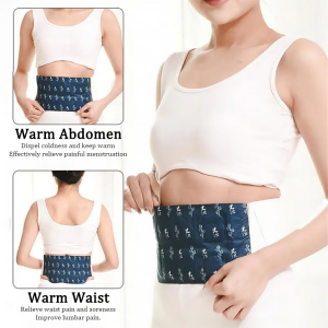 Hot Patch Waist Warming and Abundance Moxibustion Hot Compress Waist Patches