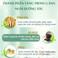 Dầu gội nhuộm tóc thảo dược HELLOII BUBBLE - Dầu gội phủ màu kích thích mọc tóc, giảm gàu ngứa, khô xơ 230ml - YOUNG BEAUTY. 