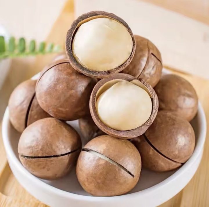 🔥จัดโปร!!! แมคคาเดเมีย = 500 กรัม = แมคคาเดเมีย แม็คคาเดเมีย Macadamia ...