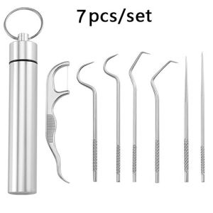 7 in 1 Toothpick Set Metal Stainless Steel Oral Cleaning Tooth Flossing Portable Toothpick Floss Teeth Cleaner with Storage Tube