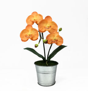 กระถางดอกไม้ปลอมมินิมอล กล้วยไม้สีส้มจัดในกระถางสังกะสี