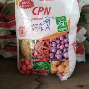 pupuk kno3 merah original kemasan pabrik 2 kg