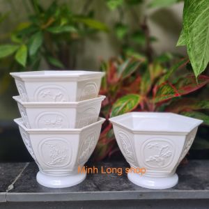 Bộ 04 Chậu Tùng Cúc 23x15cm Size Trung Màu Trắng Trồng Hoa Xinh Xắn
