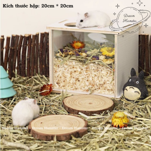 Hầm đào bới hầm trú ẩn dành cho hamster và thú nhỏ